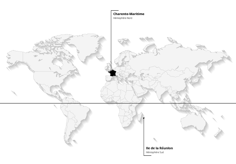 Carte-épicéa